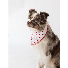 Buddy Dog Bandana (Pack of )