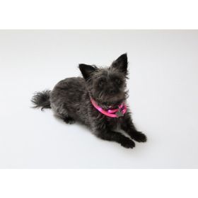 Silicone Cuttable LED Illuminated Dog Collar - USB Rechargeable (Pack of 1)