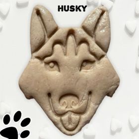 June Bug Dog Breed Dog Cookies (Pack of 3 Packs of 12)