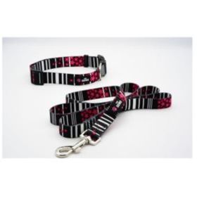Dog Collar And Leash Set (Pack of 1)
